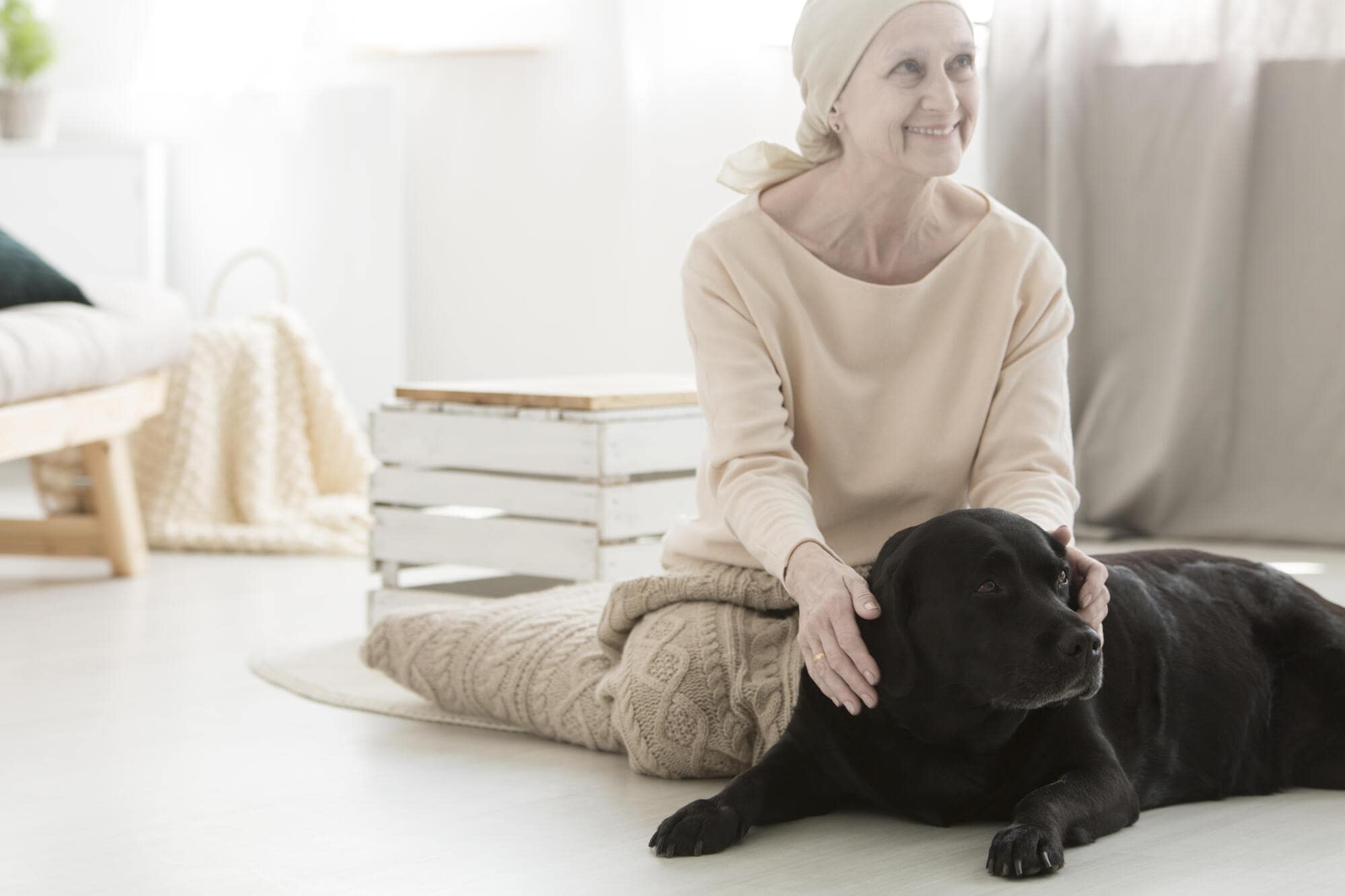 Difference Between Service, Emotional Support Animals and Pets: A Guide for Tampa Bay Landlords